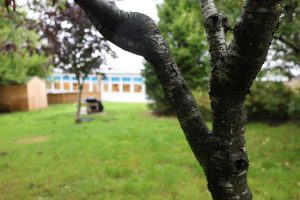 Rising Stars Nursery, Lancaster